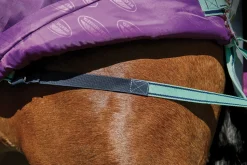 Hot WEATHERBEETA ® Pony ComFiTec™ Premier Free II Standard Neck Lite Turnout Purple/Navy/Mint