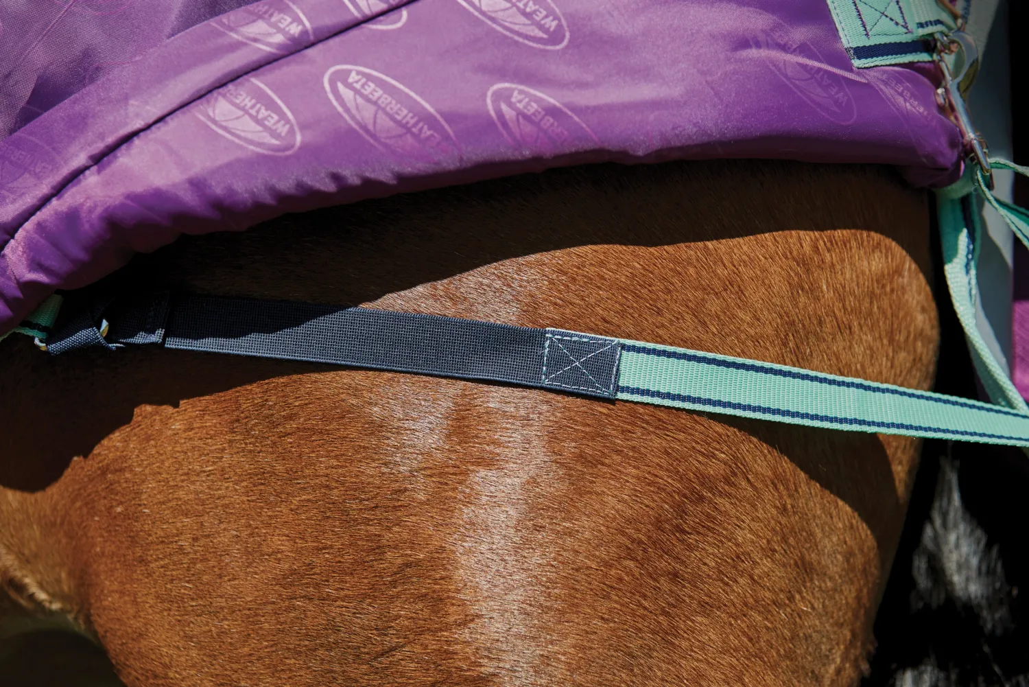 Hot WEATHERBEETA ® Pony ComFiTec™ Premier Free II Standard Neck Lite Turnout Purple/Navy/Mint