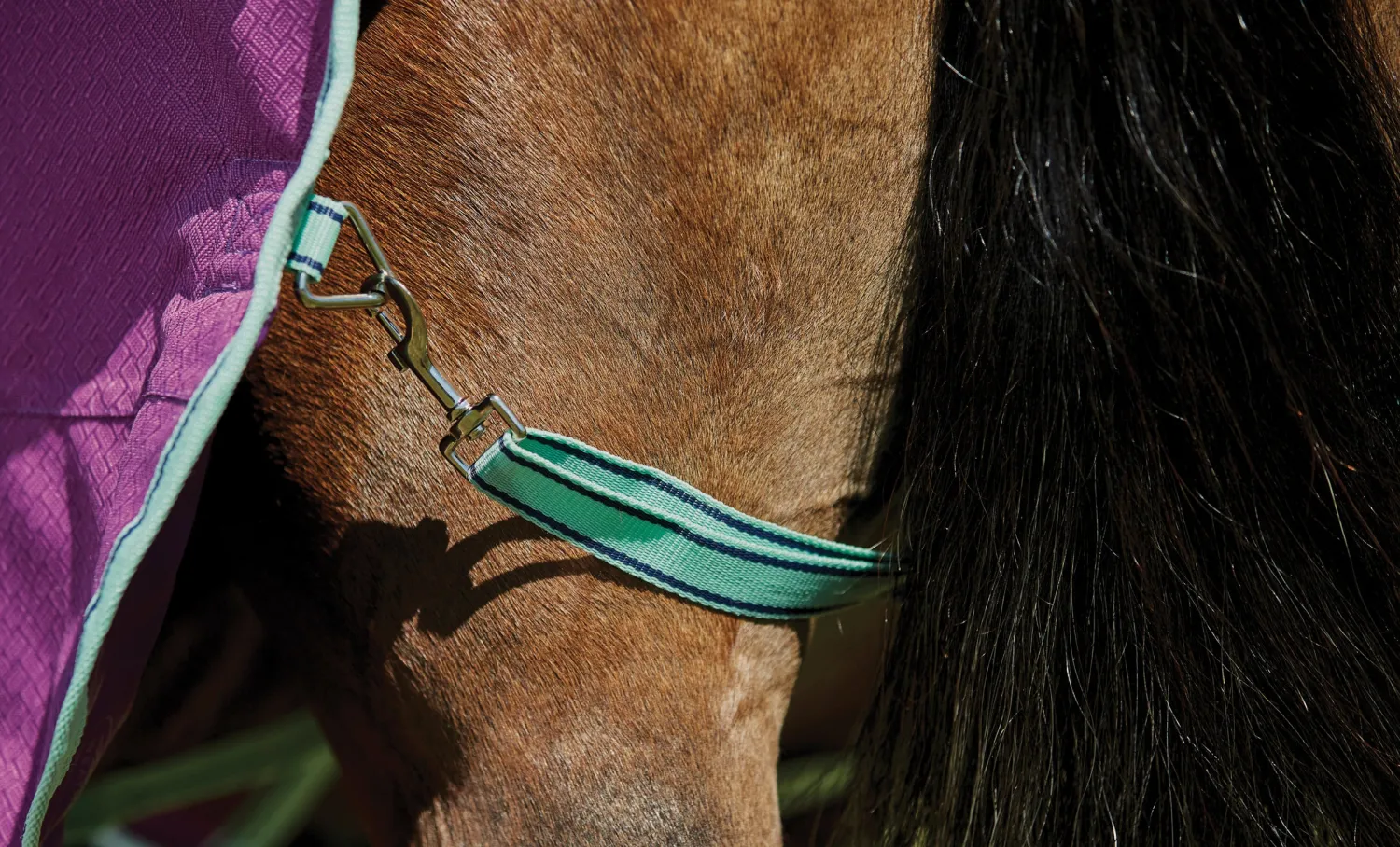 Hot WEATHERBEETA ® Pony ComFiTec™ Premier Free II Standard Neck Lite Turnout Purple/Navy/Mint
