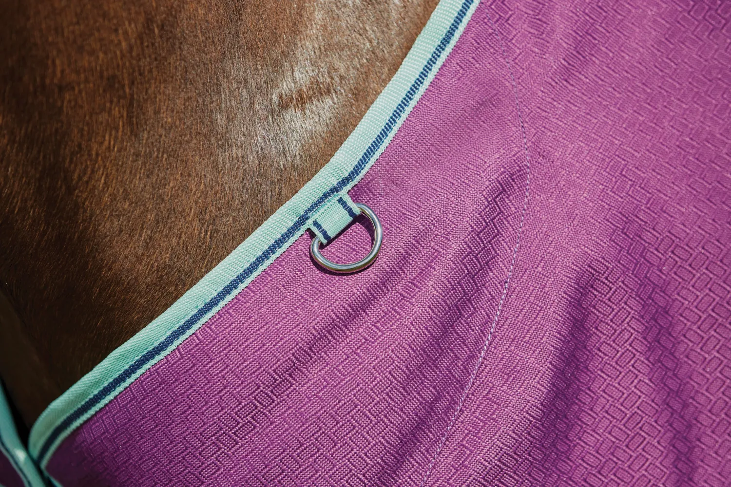 Hot WEATHERBEETA ® Pony ComFiTec™ Premier Free II Standard Neck Lite Turnout Purple/Navy/Mint