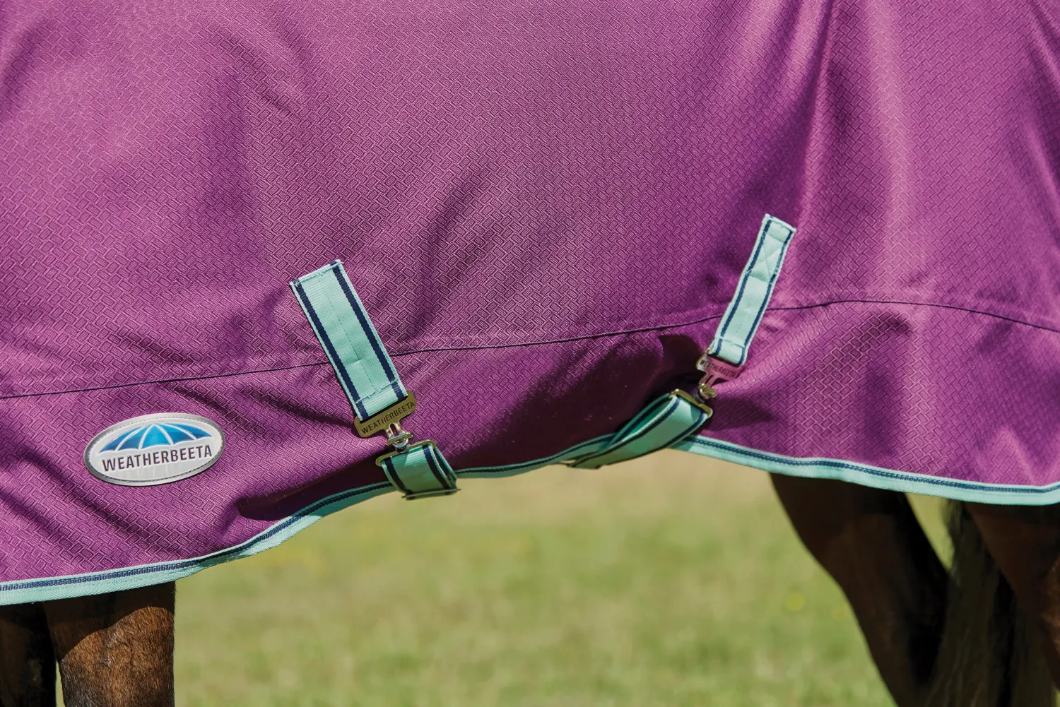 Hot WEATHERBEETA ® Pony ComFiTec™ Premier Free II Standard Neck Lite Turnout Purple/Navy/Mint