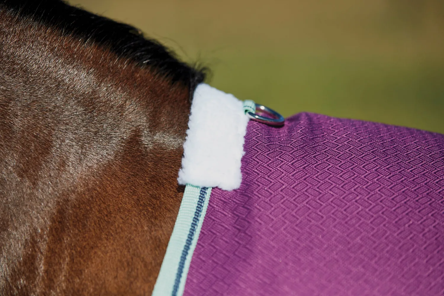 Hot WEATHERBEETA ® Pony ComFiTec™ Premier Free II Standard Neck Lite Turnout Purple/Navy/Mint