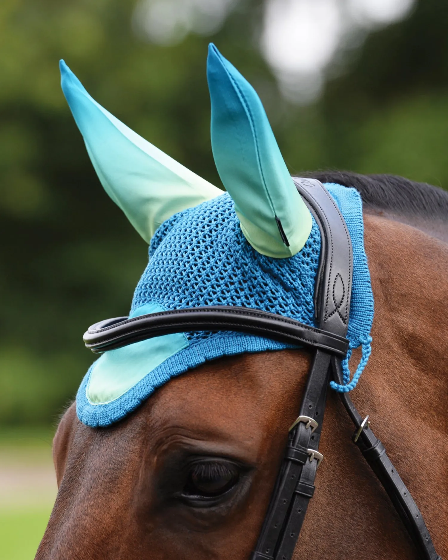 Discount WEATHERBEETA ® Prime Ombré Ear Bonnet