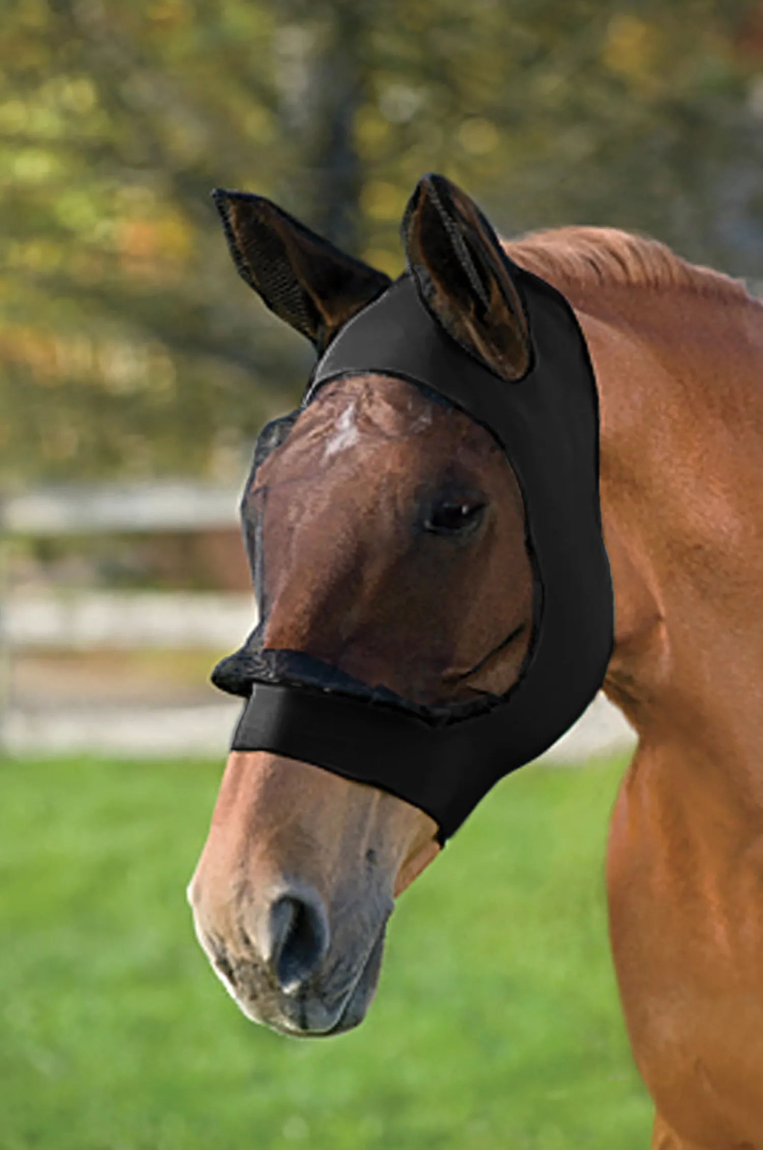 Hot WEATHERBEETA ® Stretch Eye Saver with Ears