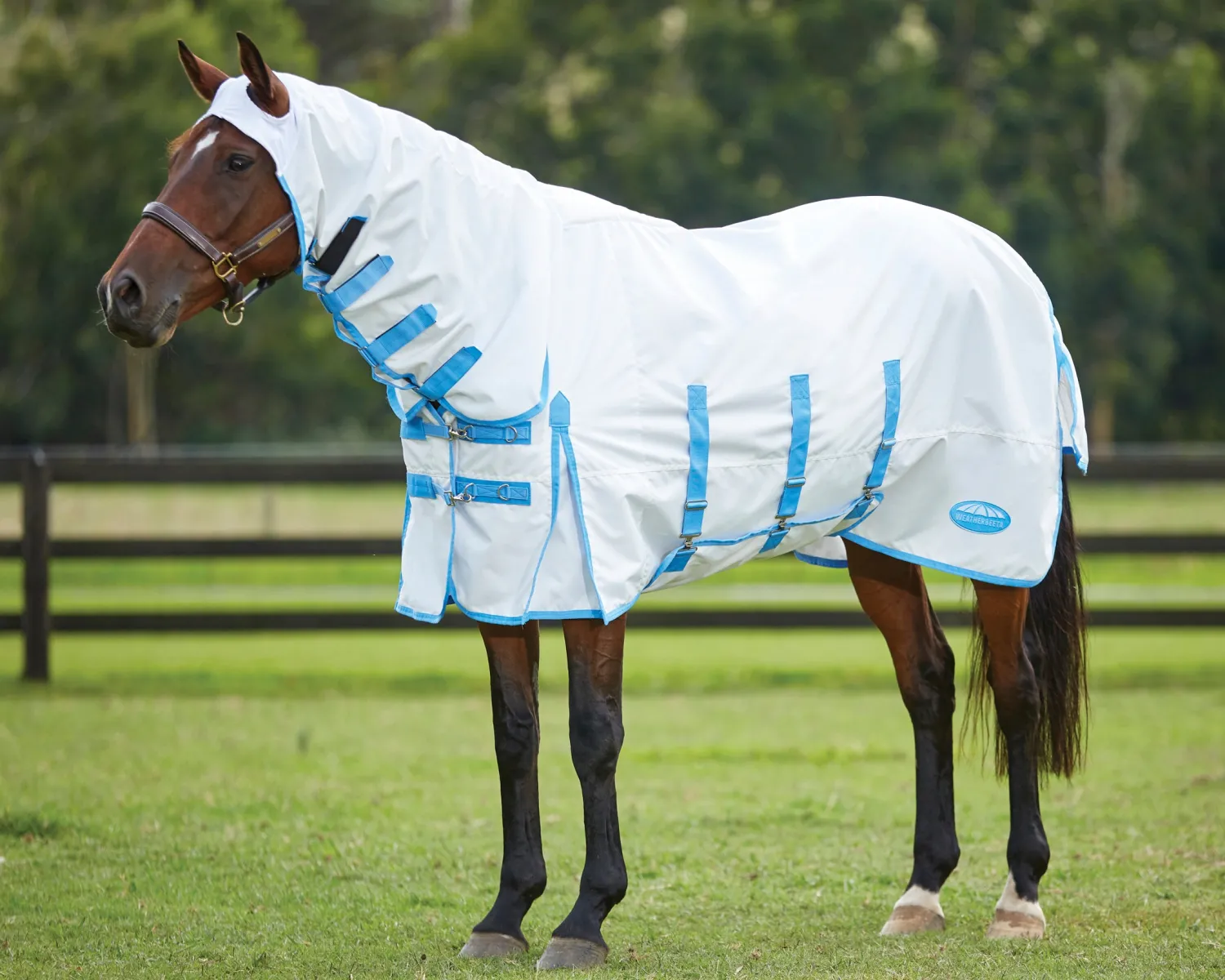 Clearance WEATHERBEETA ® Sweet Itch Shield with Combo Neck White/Blue