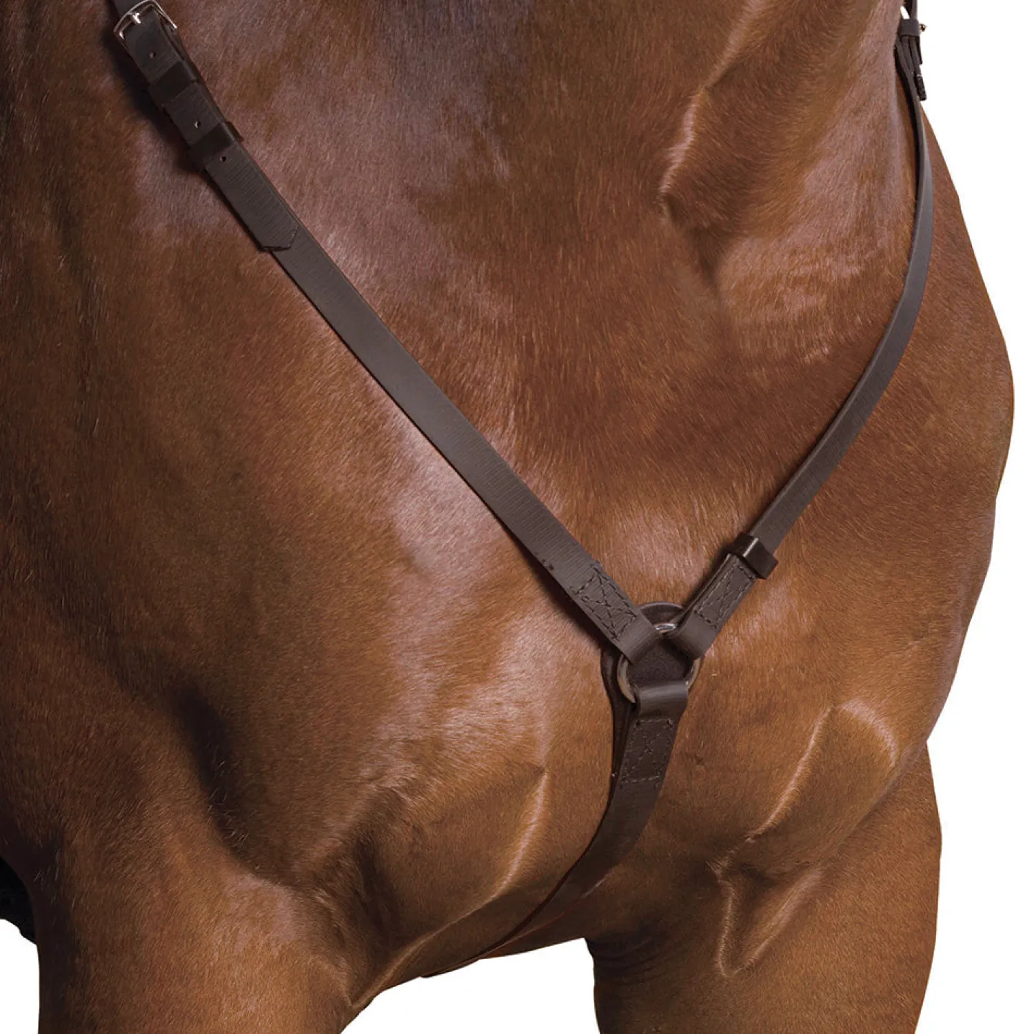 Discount SADDLERY BRANDS INTL Wintec Breastplate