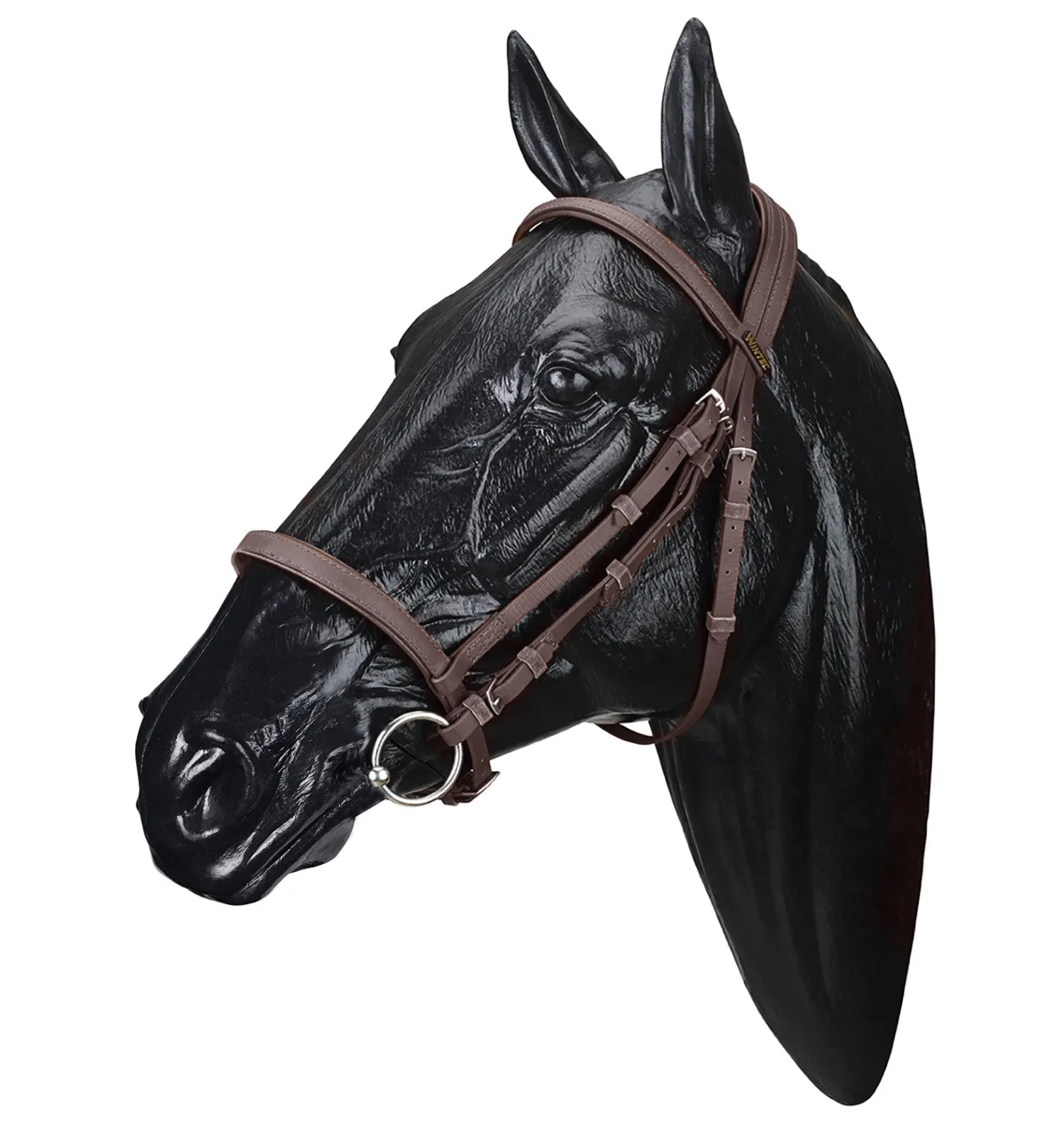 Sale SADDLERY BRANDS INTL Wintec Bridle
