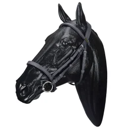 Sale SADDLERY BRANDS INTL Wintec Bridle