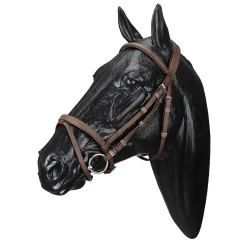Sale SADDLERY BRANDS INTL Wintec Bridle with Flash