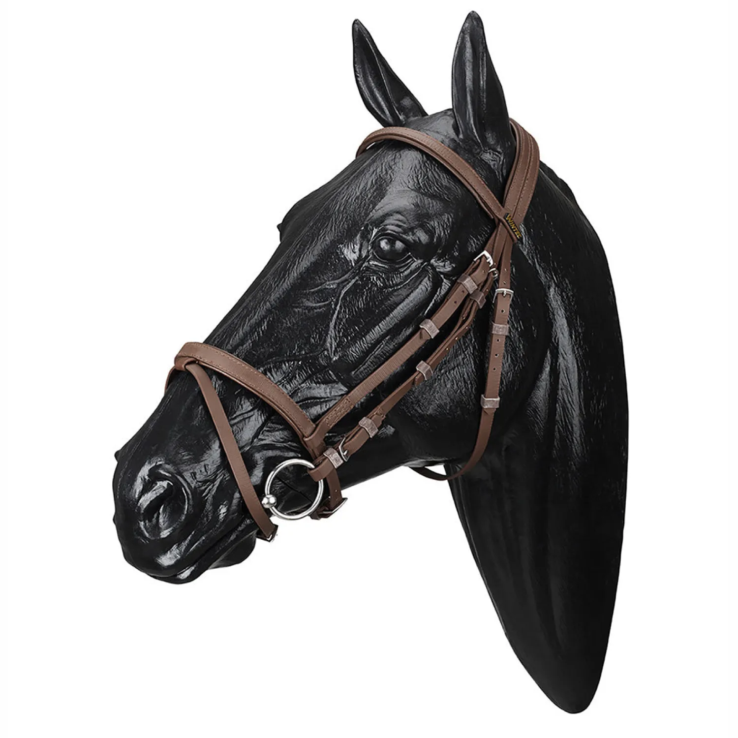 Sale SADDLERY BRANDS INTL Wintec Bridle with Flash
