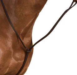 Sale SADDLERY BRANDS INTL Wintec Standing Martingale