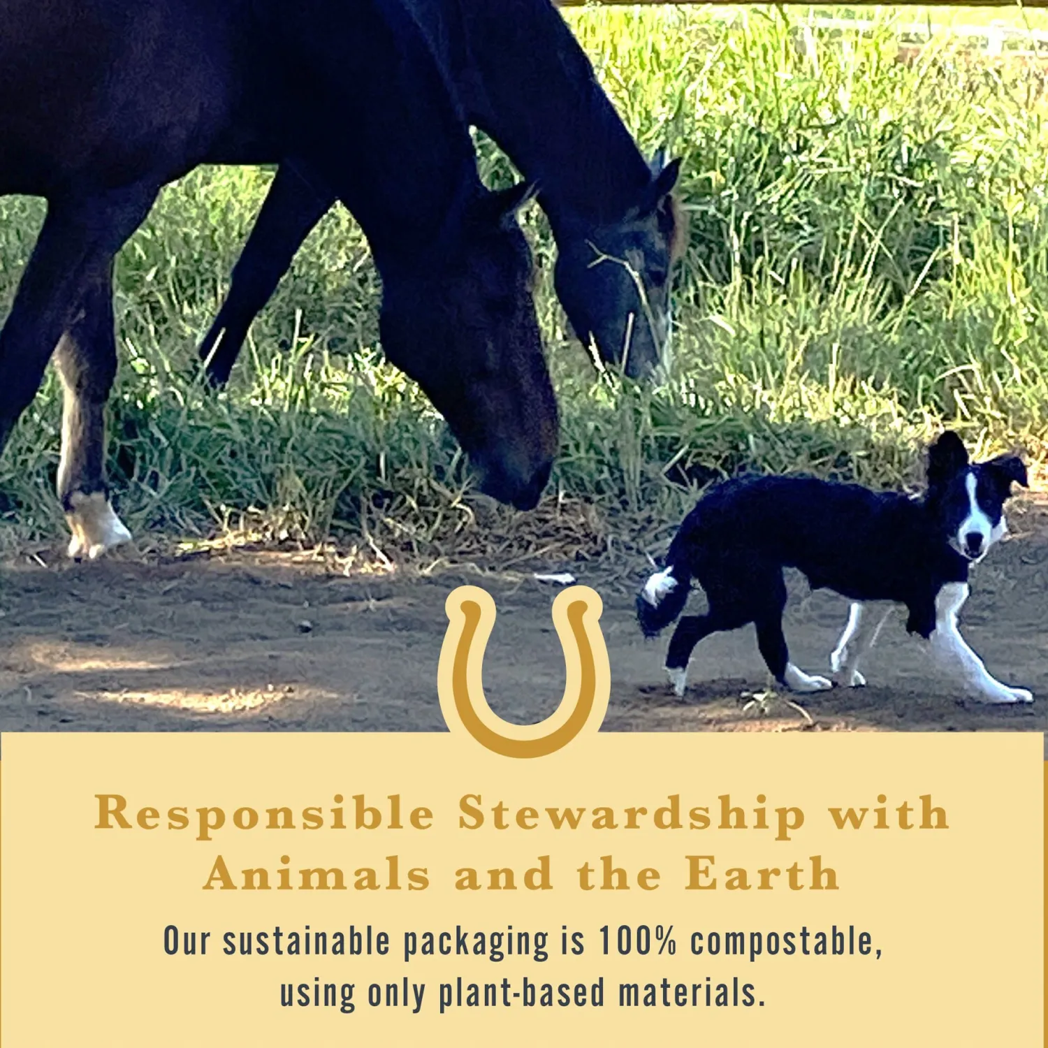 Hot WITHERS & WITHERS Sugar-Free Cinnamon Nutra-Treats for Horses
