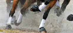 Discount TOKLAT ORIGINALS Woof Wear All-Purpose Boots