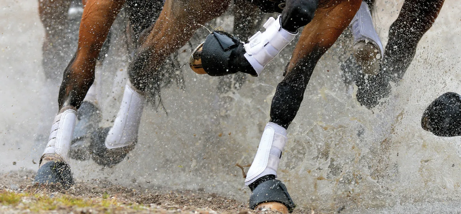 Discount TOKLAT ORIGINALS Woof Wear All-Purpose Boots