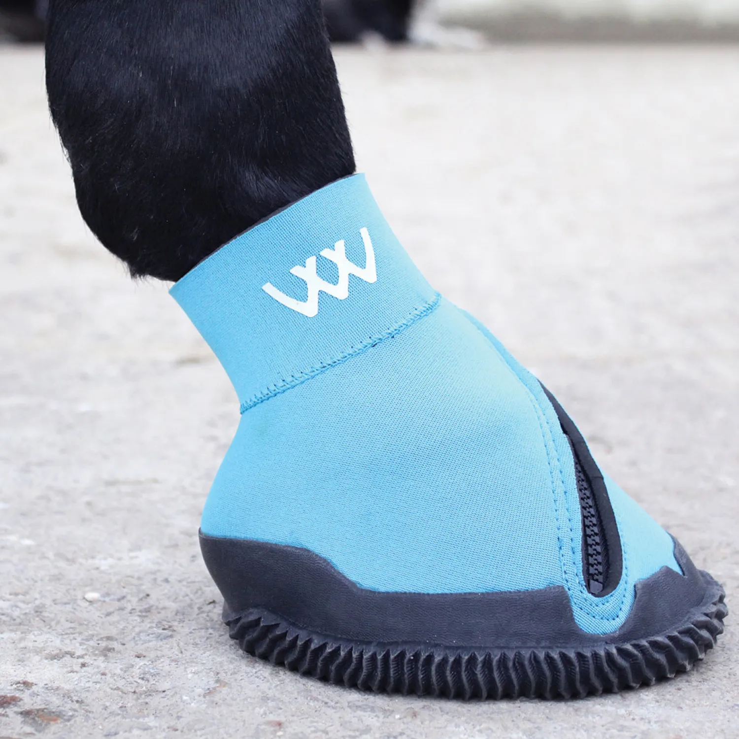 Online TOKLAT ORIGINALS Woof Wear Medical Hoof Boot Blue
