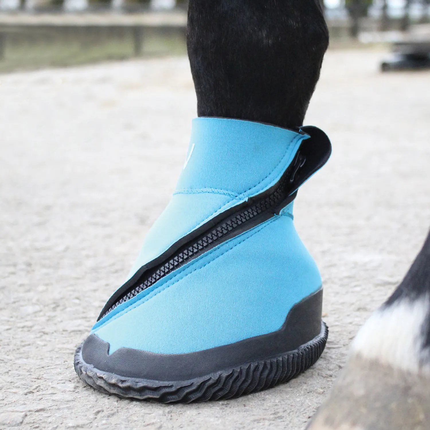 Online TOKLAT ORIGINALS Woof Wear Medical Hoof Boot Blue