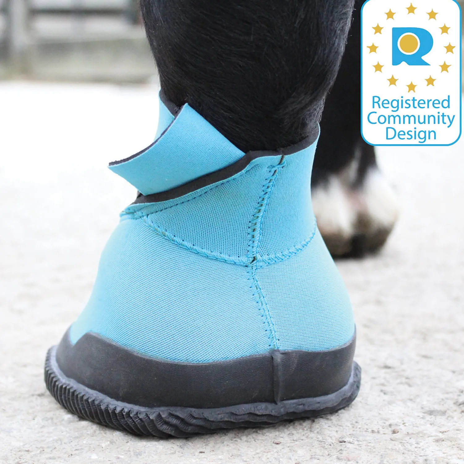 Online TOKLAT ORIGINALS Woof Wear Medical Hoof Boot Blue